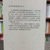 華族春秋：馬來西亞華族社會概況 - Image 2
